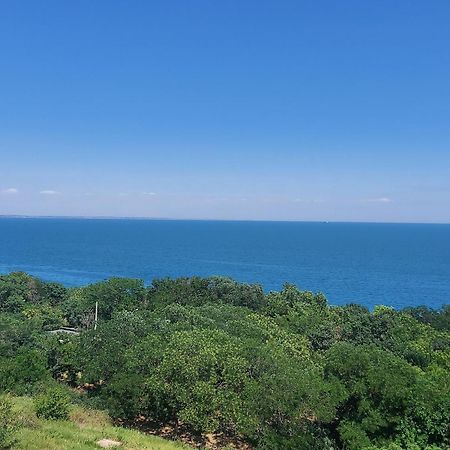 Arnautskaya Apartments Odessa Luaran gambar
